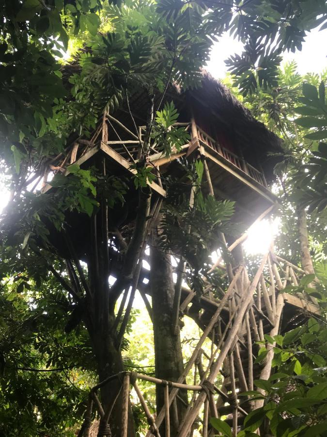 Dominican Tree House Village El Valle Exterior photo