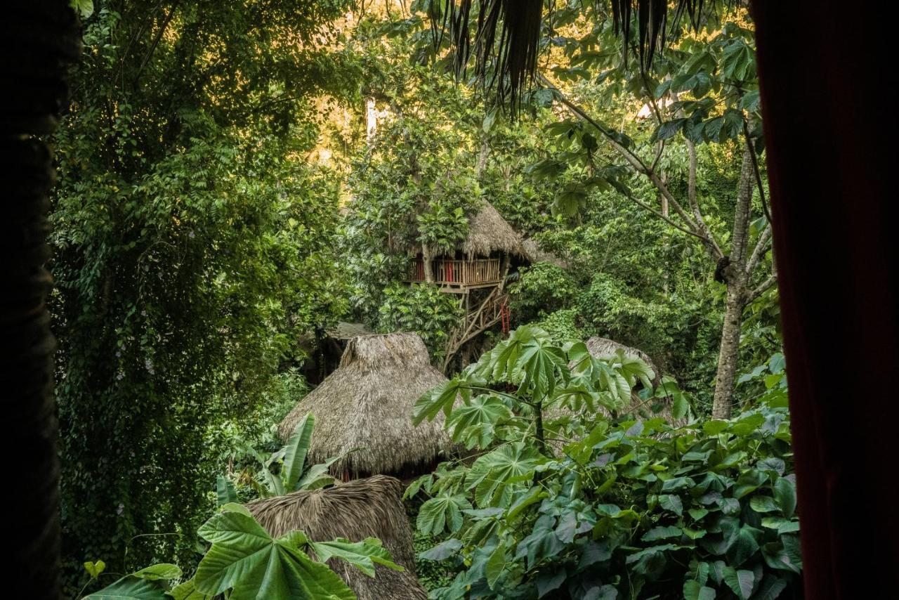 Dominican Tree House Village El Valle Exterior photo